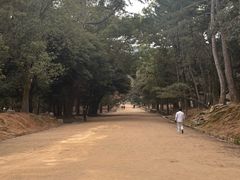 -奈良公园