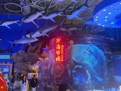 -烟台海昌鲸鲨海洋公园