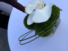 -醉庐·新上海菜(南京西路店)