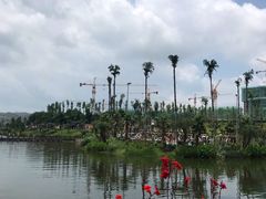 -枫香湖儿童公园