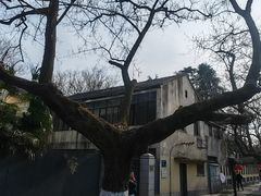 -颐和路民国时期公馆风貌区