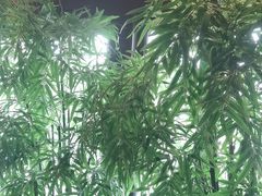 -洞庭土菜馆(天河北总店)