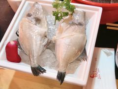 -吴老幺火锅(金龙店)