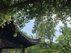 -拙政园