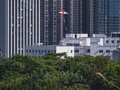 -深圳龙潭公园