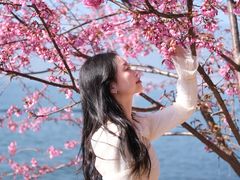 -南诏风情岛