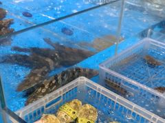 -艳阳天·非遗楚菜(武汉客厅店)