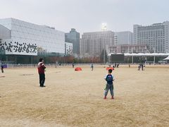 -黄龙魔方运动培训·棒球·橄榄球