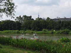 -海珠湖公园