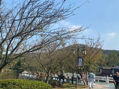 -白马涧龙池景区