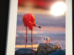 -罗红摄影艺术馆