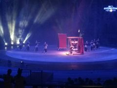 -灵玲国际马戏城