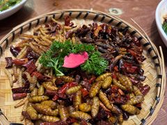 -老滇山寨•云南特色菜•地方菜•民族风情歌舞表演(金碧店)