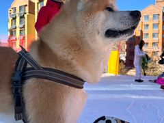 -翠云山银河滑雪场