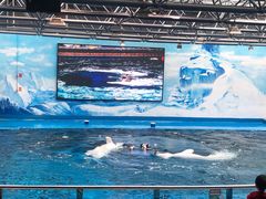 -石林冰雪海洋世界