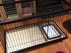 -爱宠屋pet shop·宠物洗澡·宠物美容