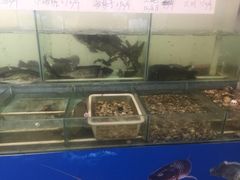 水产区-百花食府(渔阳南路店)