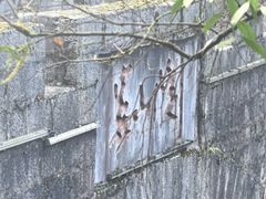 -娄山关景区