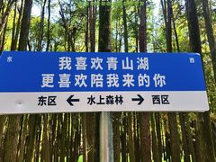 -青山湖景区