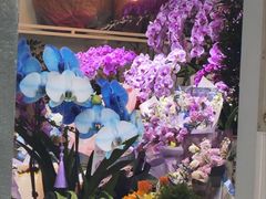 -循礼门鲜花花市(武汉循礼门店)