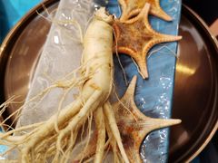 -千岛蚝高压锅生蚝·人参火锅(白云万达店)