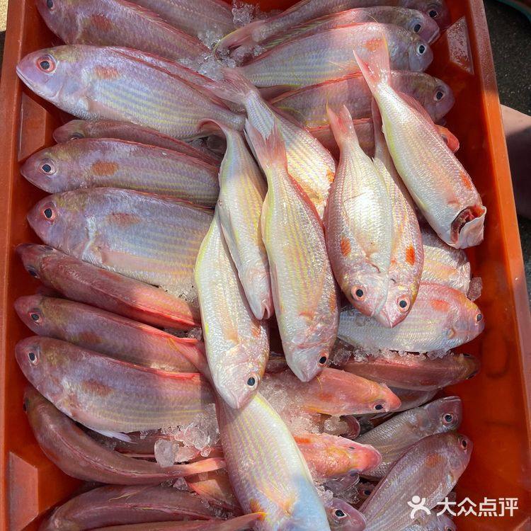 新村码头!海鲜买到爽,帮你避坑!