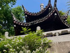 -雨花胜境
