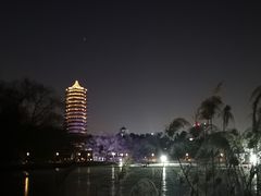 -博雅塔