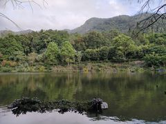 -深圳仙湖植物园
