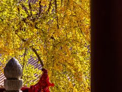 -宝通禅寺