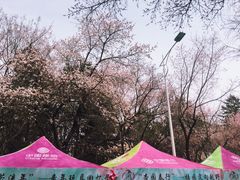 -吉林大学(南岭校区)