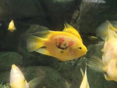 -苏州海洋馆