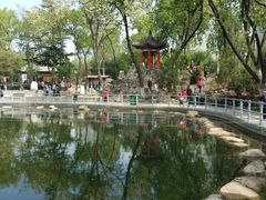 -莲湖公园