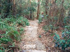 -滴水岩森林公园