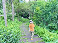 -海南热带雨林国家公园吊罗山景区