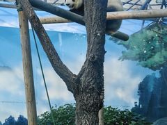 -鄂尔多斯野生动物园