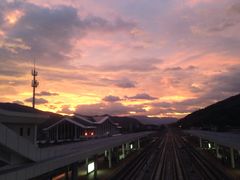 -林金财鱼丸(鼓楼街店)