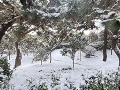 -青岛海滨风景区-鲁迅公园