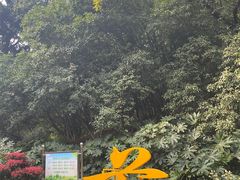-菊花台公园
