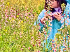 -白鹭湾湿地公园