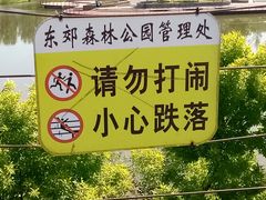 -东郊湿地公园