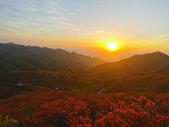 -大围山国家森林公园