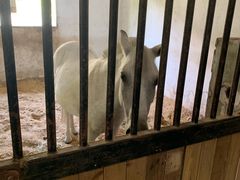 -松声马术俱乐部