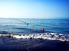 -演武大桥观景平台