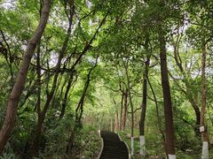 -富乐山