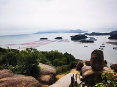 -花竹村