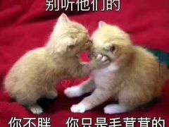 -大丰收·蛙功夫(晋江万达店)