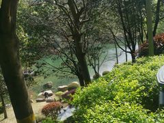 -桃花岭景区