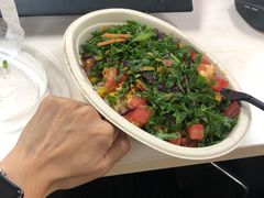 -油梨树AVOCADO TREE(嘉里中心店)