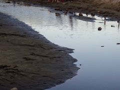 -东海半边山旅游度假区